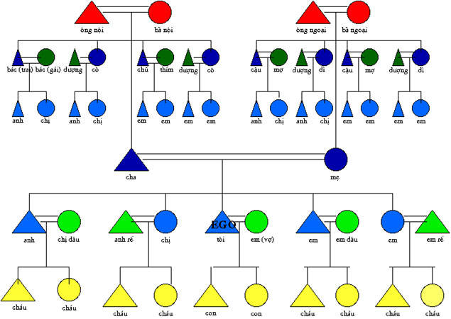 Anthropology Kinship Chart