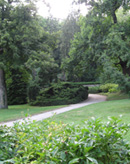 Vienna Woods