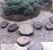 teagarden003