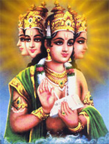 Picture of Brahma