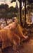 050_earth_cannot_bear_deredata