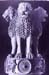 156-ashoka