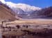 42_thanze_village_in_bhatan