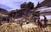 014_threshing