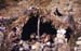 054_safris_smithy