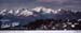 25-darjeeling