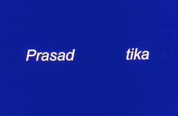 100_terms_prasad_tika