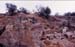 005-indus_valley