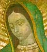 Virgen de Guadalupe