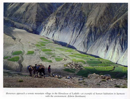 Ladakh_India_farm