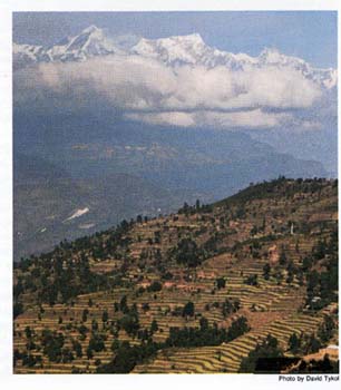 cr_nepal_terrace_farming