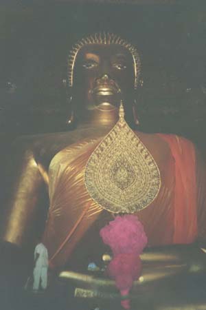tt largest buddha