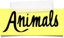 Animals